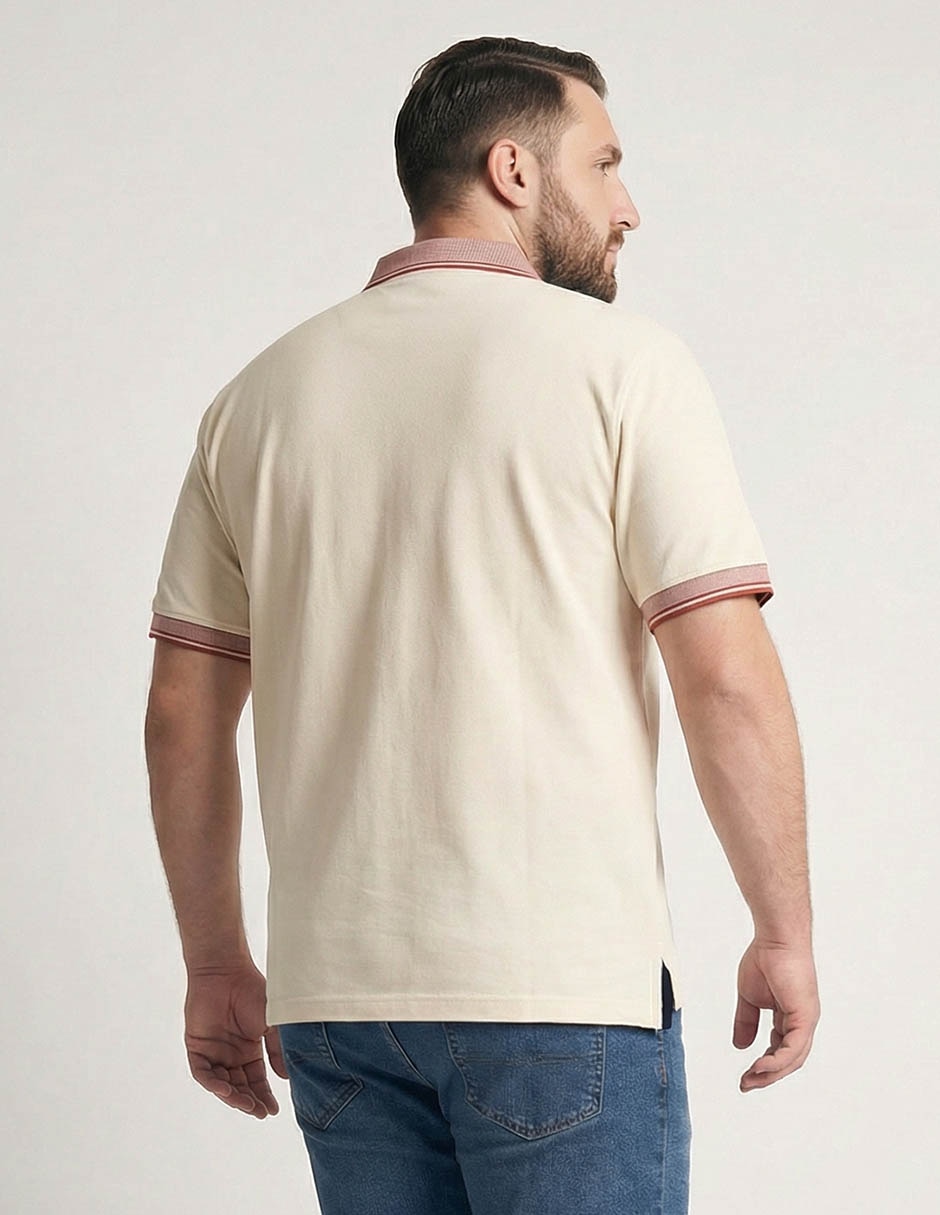 Playera tipo polo para hombre 2